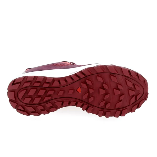 grande surprise Remise 😉 Femme Salomon Salomon Trailster 2 Rose Viol ROSE 💯 1